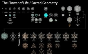 Sacred Geometry - The Tree of Life