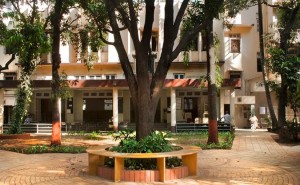 Yoga Institute